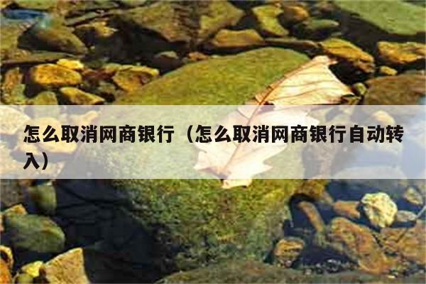 怎么取消网商银行（怎么取消网商银行自动转入） 