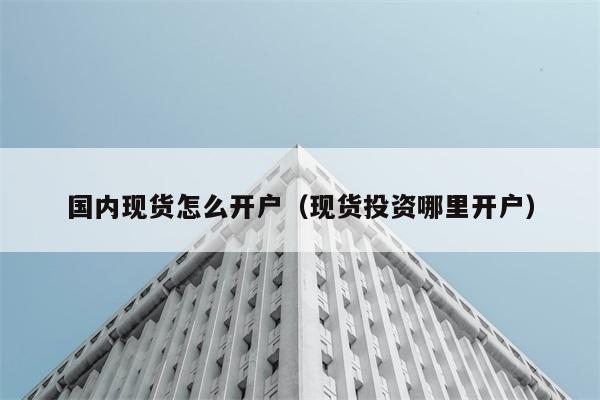 国内现货怎么开户（现货投资哪里开户） 