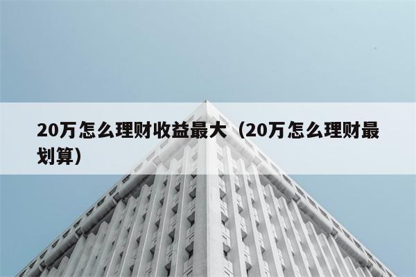 20万怎么理财收益最大（20万怎么理财最划算） 