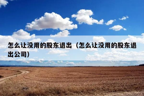 怎么让没用的股东退出（怎么让没用的股东退出公司） 