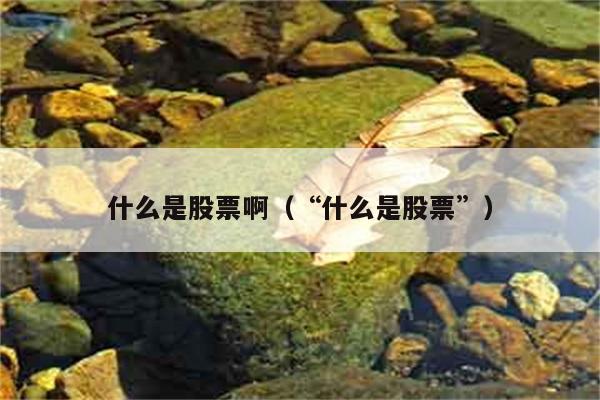 什么是股票啊（“什么是股票”） 