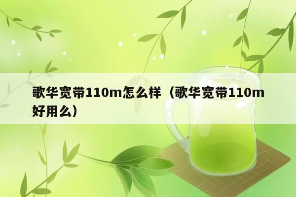 歌华宽带110m怎么样（歌华宽带110m好用么） 