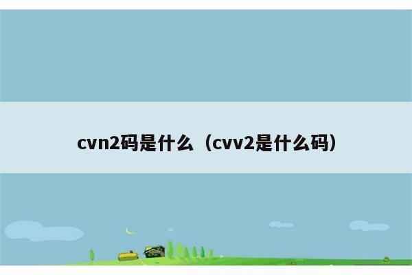 cvn2码是什么（cvv2是什么码） 