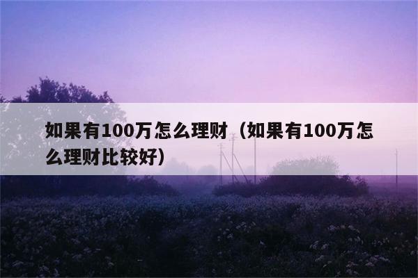 如果有100万怎么理财（如果有100万怎么理财比较好） 