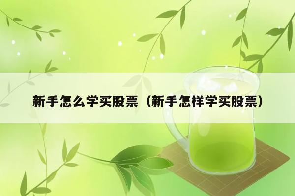 新手怎么学买股票（新手怎样学买股票） 