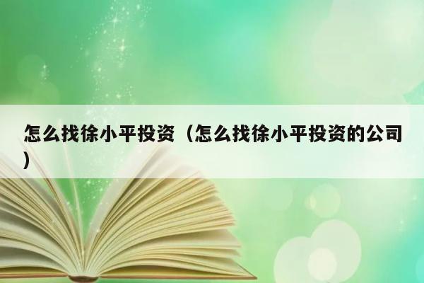 怎么找徐小平投资（怎么找徐小平投资的公司） 