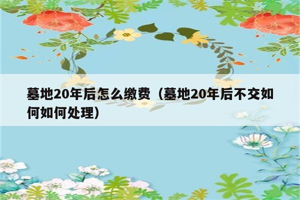 墓地20年后怎么缴费（墓地20年后不交如何如何处理） 