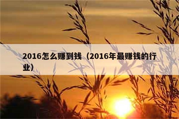 2016怎么赚到钱（2016年最赚钱的行业） 