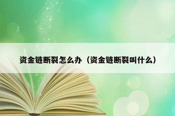 资金链断裂怎么办（资金链断裂叫什么） 