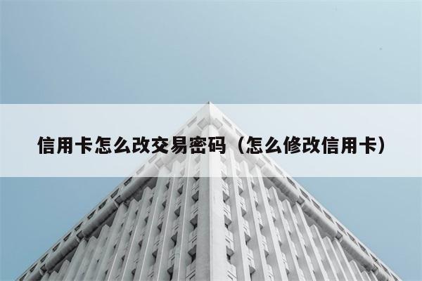 信用卡怎么改交易密码（怎么修改信用卡） 