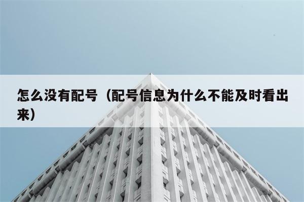 怎么没有配号（配号信息为什么不能及时看出来） 