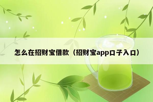 怎么在招财宝借款（招财宝app口子入口） 