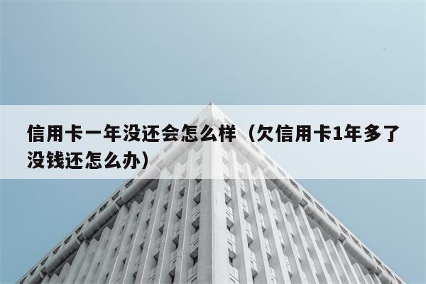 信用卡一年没还会怎么样（欠信用卡1年多了没钱还怎么办） 