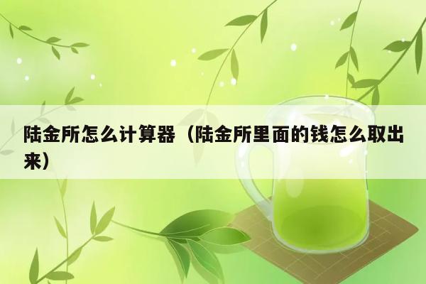 陆金所怎么计算器（陆金所里面的钱怎么取出来） 