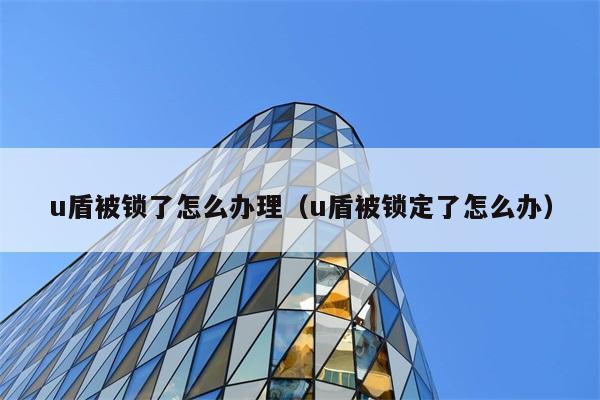 u盾被锁了怎么办理（u盾被锁定了怎么办） 