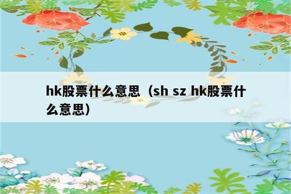 hk股票什么意思（sh sz hk股票什么意思） 