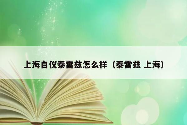 上海自仪泰雷兹怎么样（泰雷兹 上海） 