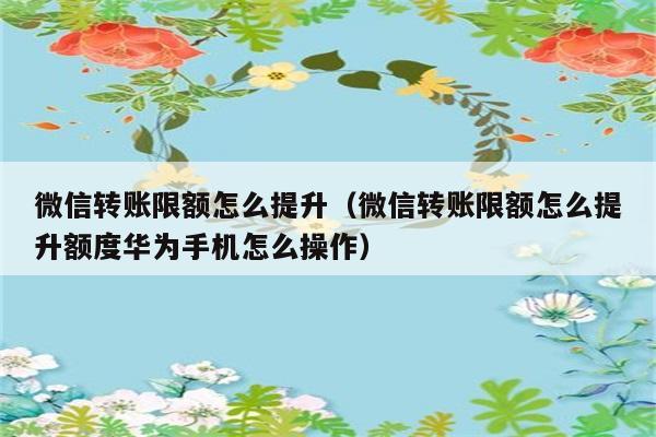 微信转账限额怎么提升（微信转账限额怎么提升额度华为手机怎么操作） 