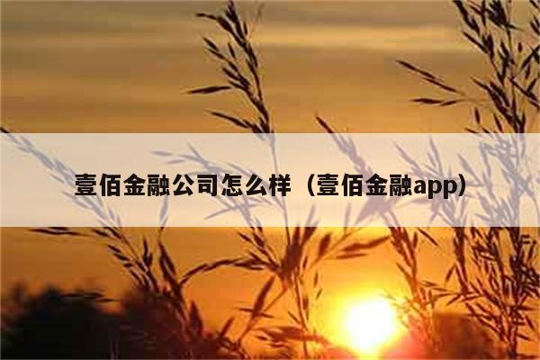 壹佰金融公司怎么样（壹佰金融app） 