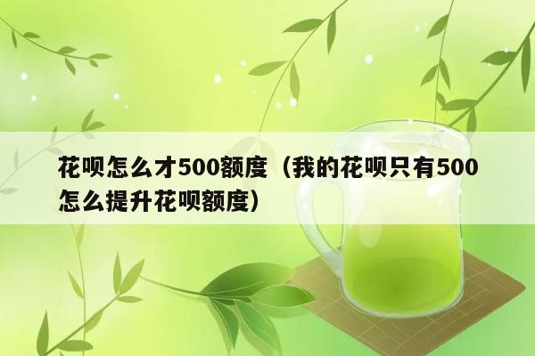 花呗怎么才500额度（我的花呗只有500怎么提升花呗额度） 