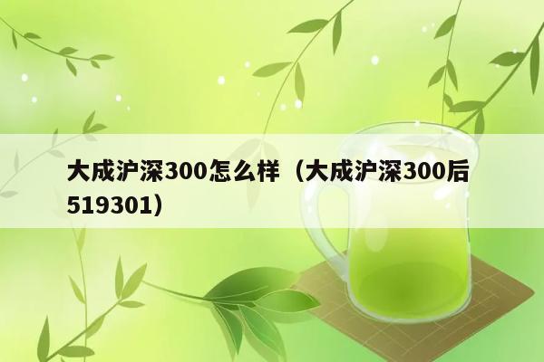 大成沪深300怎么样（大成沪深300后 519301） 