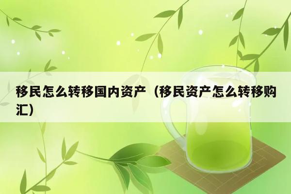 移民怎么转移国内资产（移民资产怎么转移购汇） 