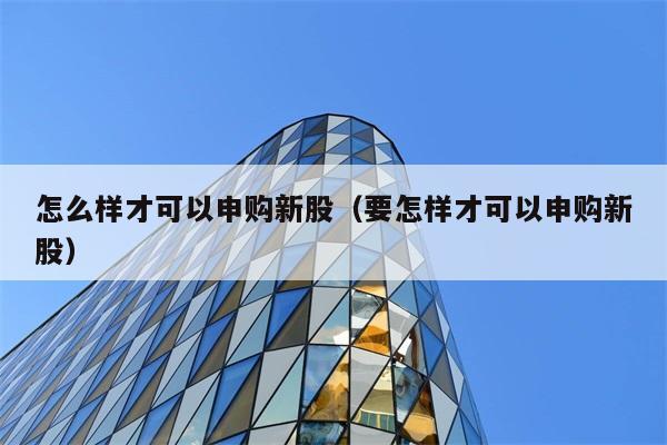 怎么样才可以申购新股（要怎样才可以申购新股） 