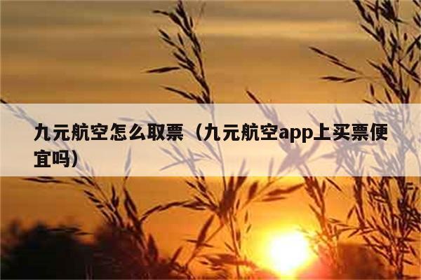 九元航空怎么取票（九元航空app上买票便宜吗） 