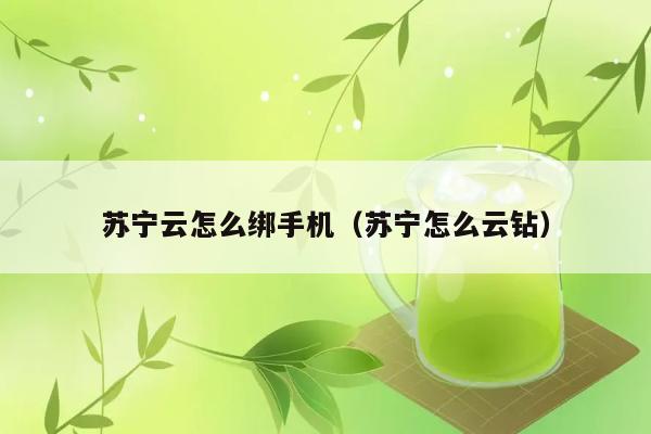 苏宁云怎么绑手机（苏宁怎么云钻） 