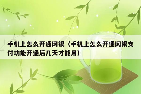 手机上怎么开通网银（手机上怎么开通网银支付功能开通后几天才能用） 