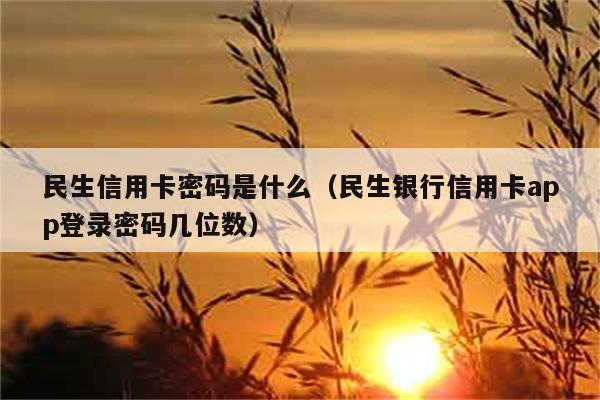 民生信用卡密码是什么（民生银行信用卡app登录密码几位数） 