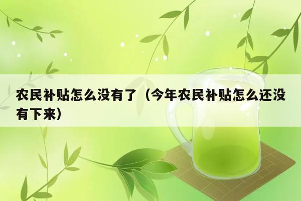 农民补贴怎么没有了（今年农民补贴怎么还没有下来） 