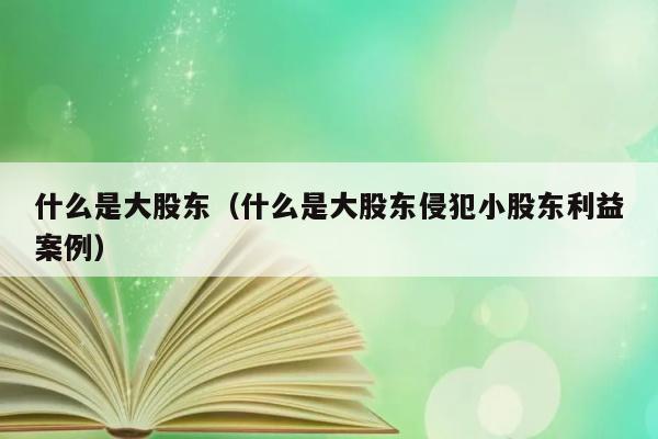 什么是大股东（什么是大股东侵犯小股东利益案例） 