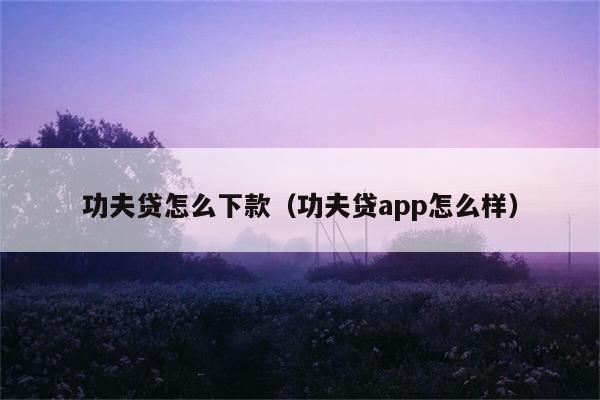 功夫贷怎么下款（功夫贷app怎么样） 