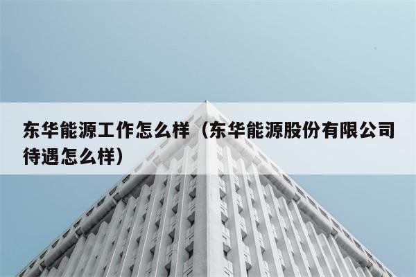 东华能源工作怎么样（东华能源股份有限公司待遇怎么样） 