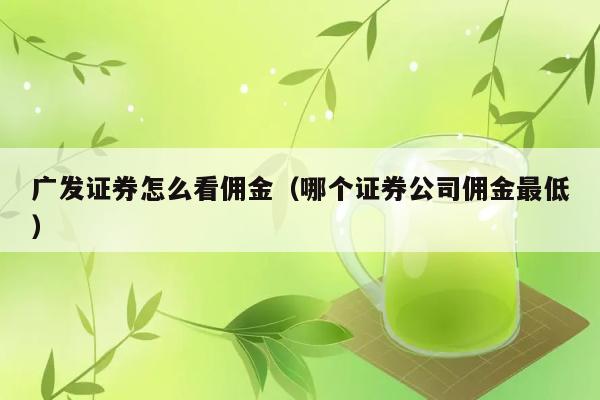 广发证券怎么看佣金（哪个证券公司佣金最低） 