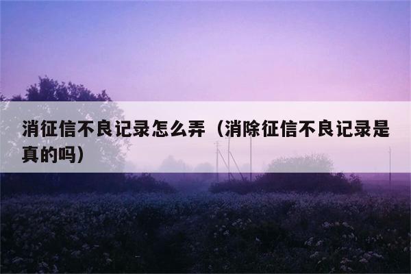 消征信不良记录怎么弄（消除征信不良记录是真的吗） 