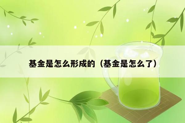 基金是怎么形成的（基金是怎么了） 