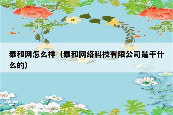 泰和网怎么样（泰和网络科技有限公司是干什么的） 