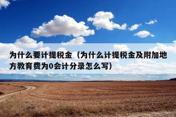 为什么要计提税金（为什么计提税金及附加地方教育费为0会计分录怎么写） 