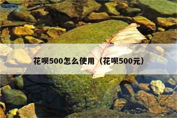 花呗500怎么使用（花呗500元） 