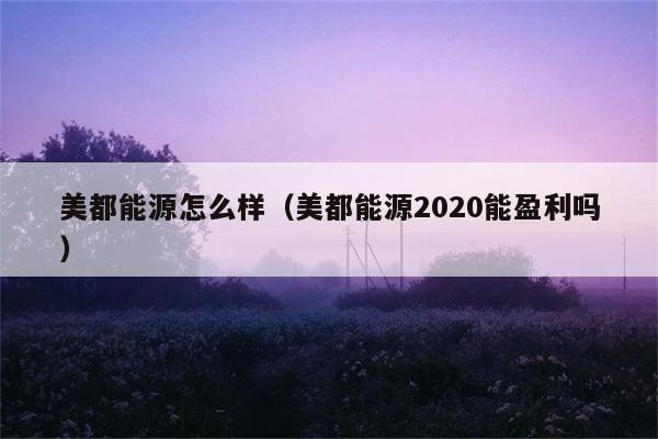 美都能源怎么样（美都能源2020能盈利吗） 