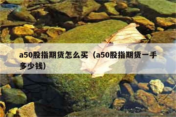 a50股指期货怎么买（a50股指期货一手多少钱） 