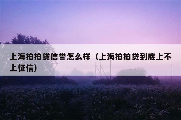 上海拍拍贷信誉怎么样（上海拍拍贷到底上不上征信） 