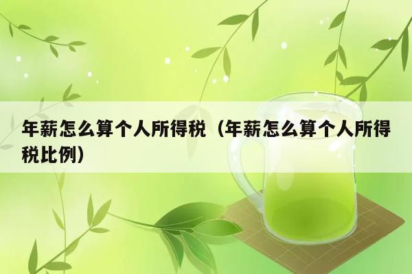 年薪怎么算个人所得税（年薪怎么算个人所得税比例） 