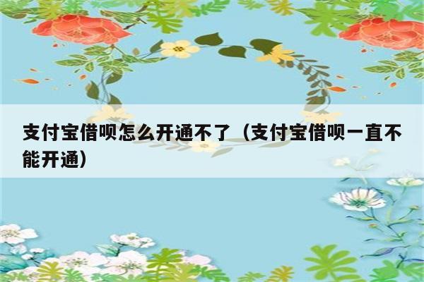 支付宝借呗怎么开通不了（支付宝借呗一直不能开通） 