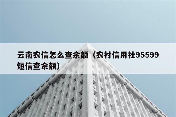 云南农信怎么查余额（农村信用社95599短信查余额） 