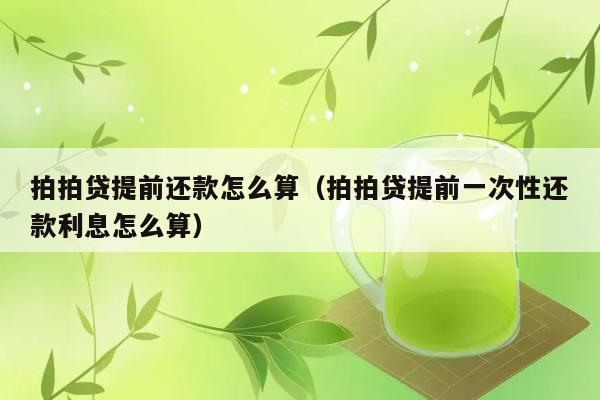 拍拍贷提前还款怎么算（拍拍贷提前一次性还款利息怎么算） 