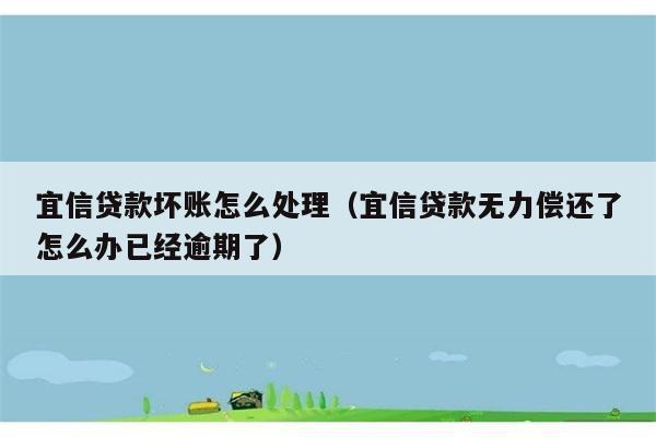 宜信贷款坏账怎么处理（宜信贷款无力偿还了怎么办已经逾期了） 