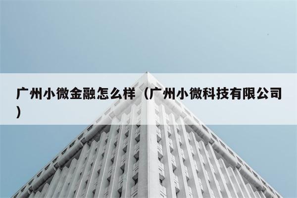 广州小微金融怎么样（广州小微科技有限公司） 